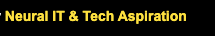 Neural IT & Tech Aspiration